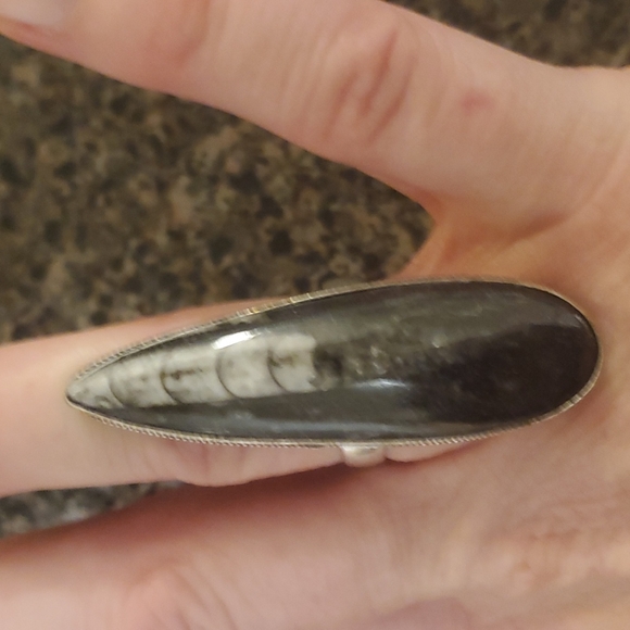 New Huge Orthoceras Fossil 925 Silver Statement Ring. - Picture 3 of 10